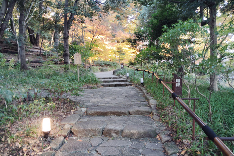 Nagoya: Exploring the Beauty of Tokugawa-en Garden