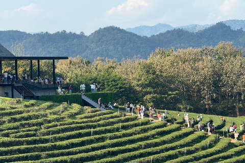 Chiang Rai: Explore Top 7 Attractions + FREE Lunch Buffet