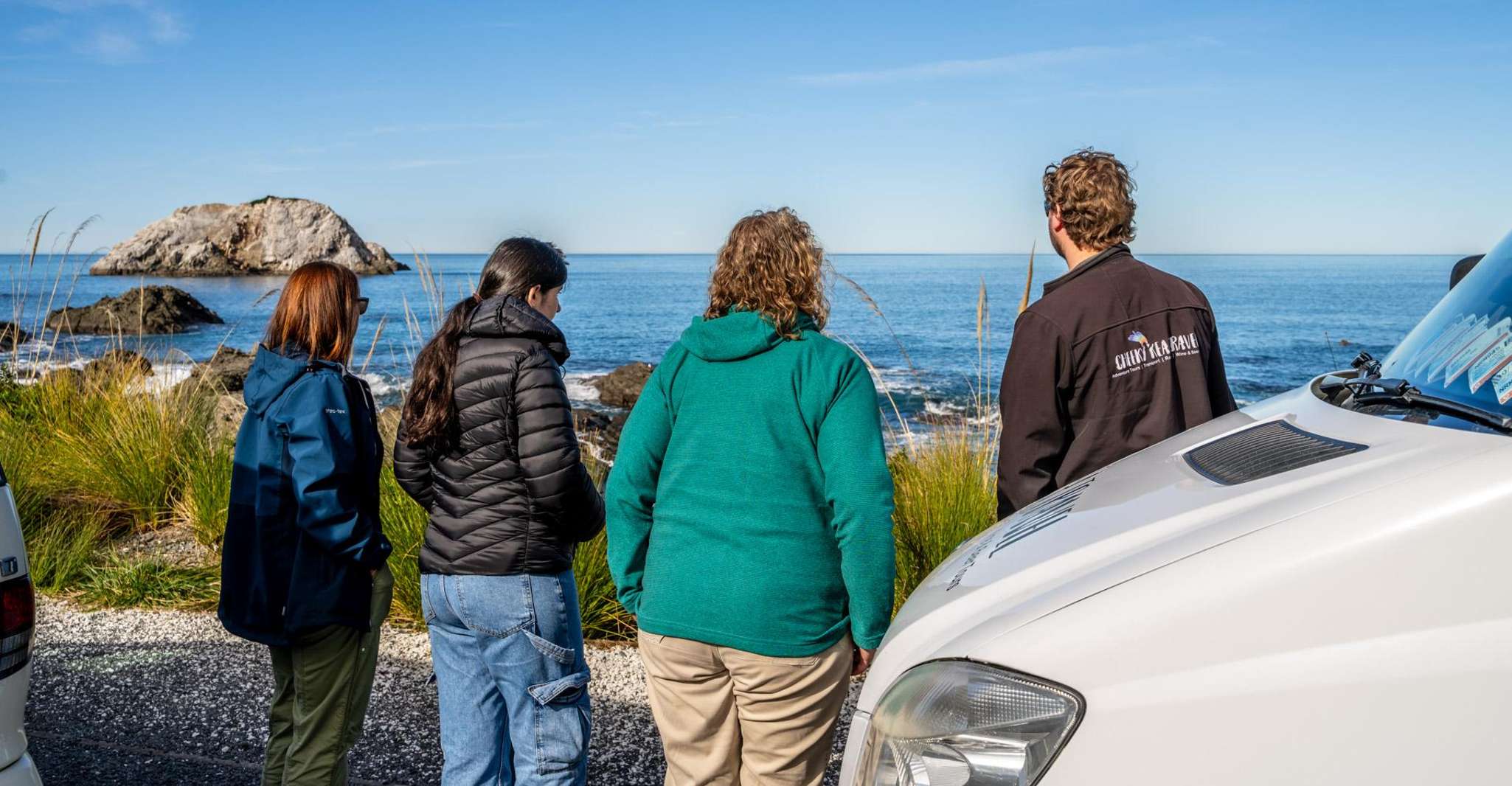 Kaikoura Dolphin Encounter Premium Day Tour - Hizvo
