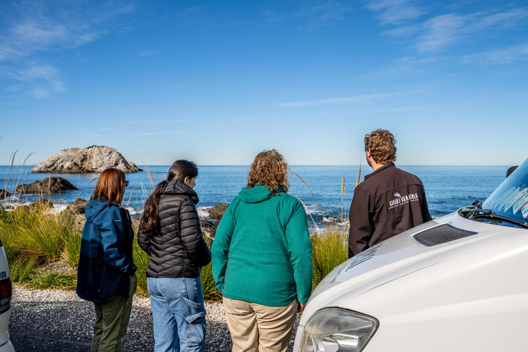 Z Christchurch: Jednodniowa wycieczka Kaikoura z rejsem z delfinami