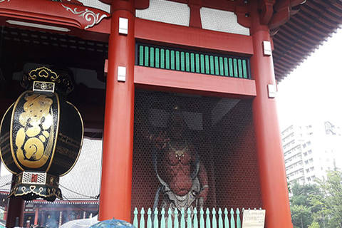 Tokyo: 2-Day Guided Tour with Kamakura & Hotel Pickup