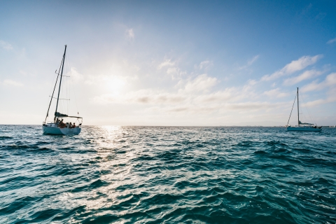 Zatoka Palma: 1-godzinna przygoda z łodzią motorowąPalma Bay: 1-godzinna przygoda łodzią motorową