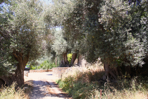 Brezza libica - Una passeggiata nella natura con nuoto nel sud di Creta