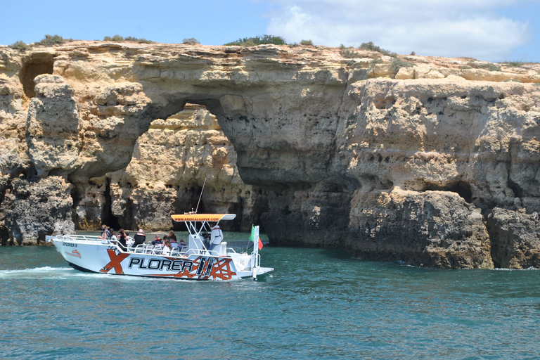 Benagil: Excursión de 2,5 horas por la costa y con delfines