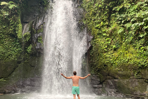 Monkey River, Ubud Market, Waterfall and Art Village Ubud Tour include Ticket