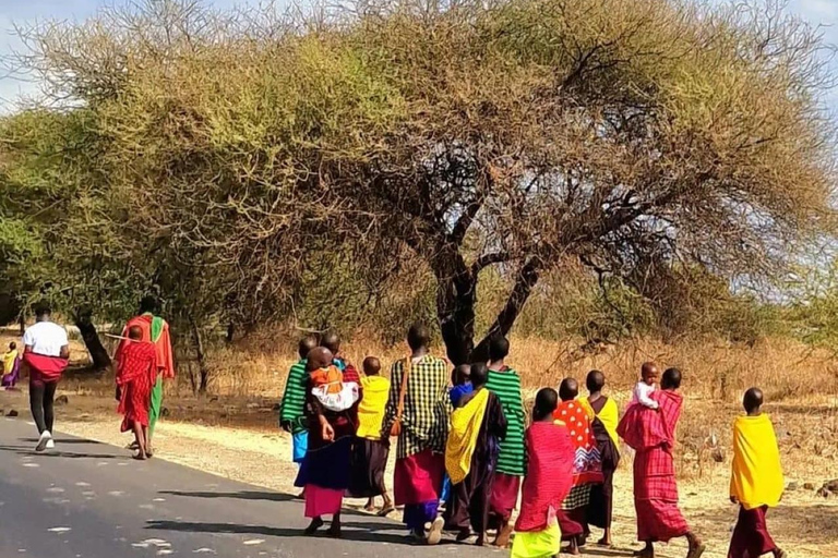 Arusha: Maasai Boma Cultural Day Trip