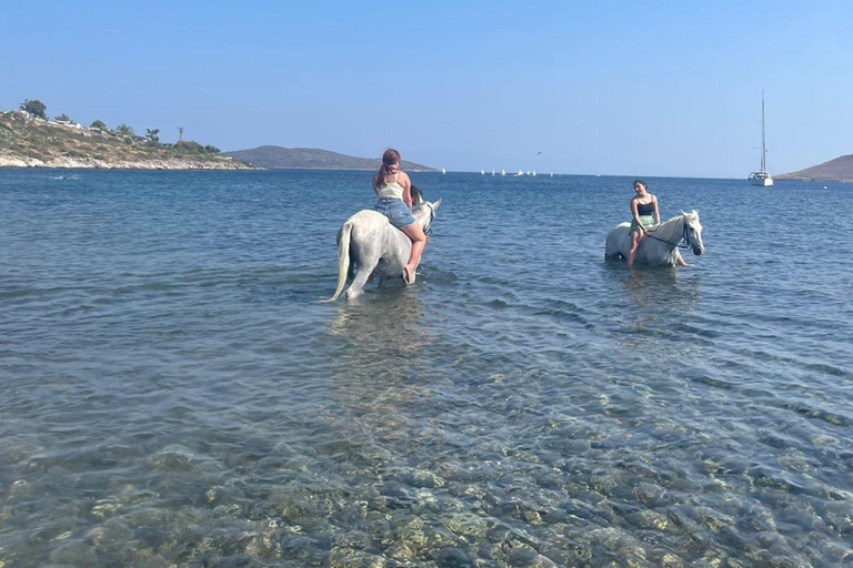 Bodrum Ridning Äventyr