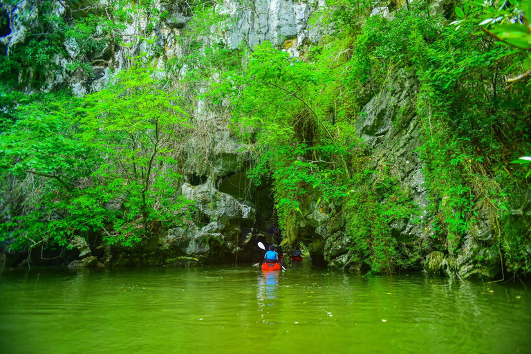 Krabi's Hidden Mangrove Kayak Tour Full Day Kayak + Massage spa