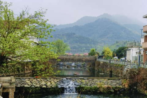 Shanghai: Tonglu Ancient Villages & Fruit-Picking Day Trip