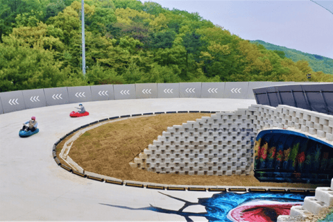 Seúl: Hwadamsup, luge y aldea folclórica coreana. Excursión de un día.Excursión en grupo, encuentro en Hongdae (Hongik Uni)