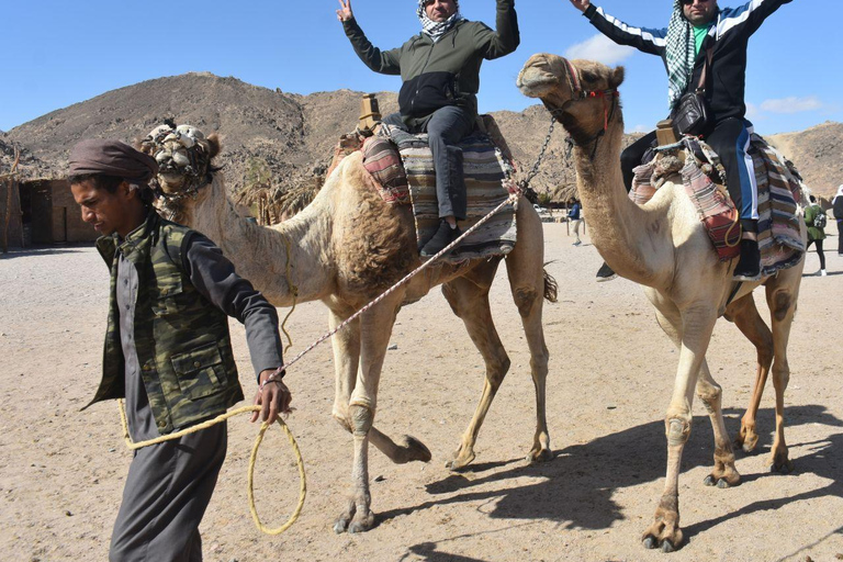 Hurghada Camel Riding Tour with Optional Sunrise & Breakfast Hurghada Camel Riding Tour with Optional Sunrise & Breakfast
