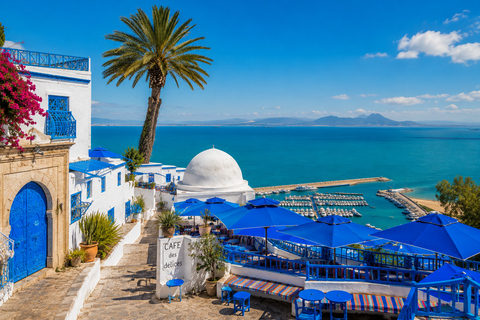 Hammamet: Day Trip to Carthage, Sidi Bou Saïd, the Medina, and the Bardo Museum Hammamet: Day Trip to Carthage, Sidi Bou Said, the Medina, and the Bardo Museum