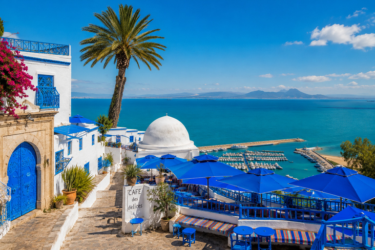 Hammamet: Day Trip to Carthage, Sidi Bou Saïd, the Medina, and the Bardo Museum Hammamet: Day Trip to Carthage, Sidi Bou Said, the Medina, and the Bardo Museum