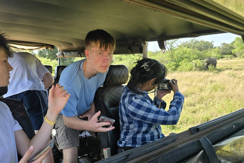From Sigiriya: Wasgamuwa Wildlife Safari Tour