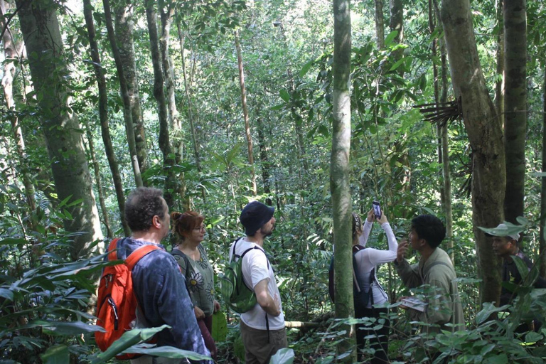 Menjangan Marine Beauty & Rainforest Exploration