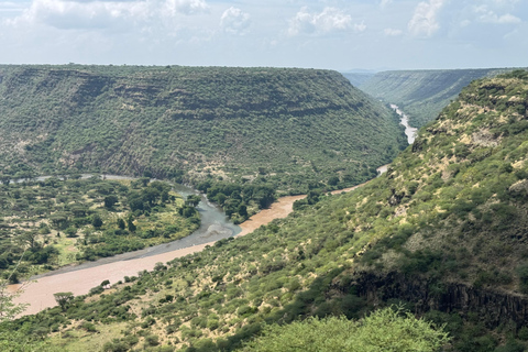 Addis Abeba: Awash-Nationalpark &amp; Harar 4-tägige Tour