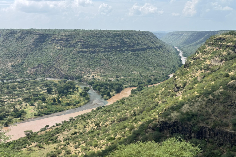 Addis Abeba: Awash-Nationalpark &amp; Harar 4-tägige Tour