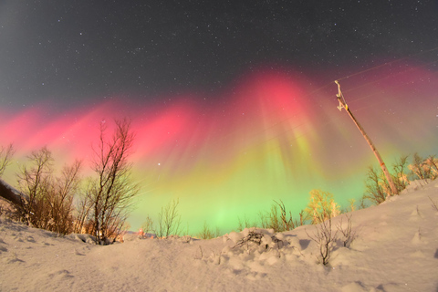 Abisko: caza de auroras en furgoneta en grupos pequeños