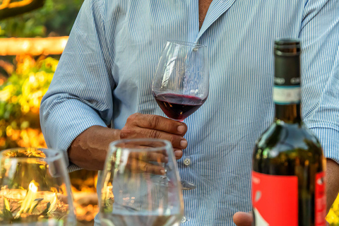 SORRENTO : Dégustation de vins avec vue sur la mer dans une plantation de citronniers