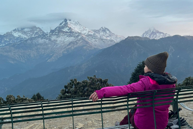 Från Pokhara: 4-dagars Poon Hill Trek med transfer