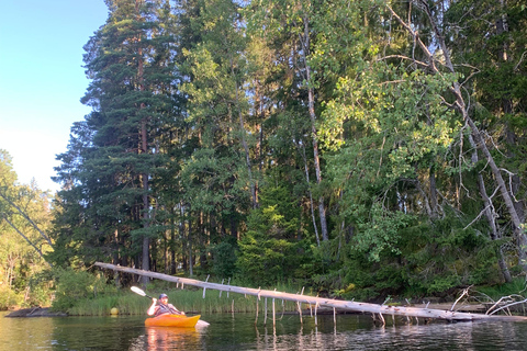 Oslo: Guided Kayak Tour on Lake Langen with Lunch