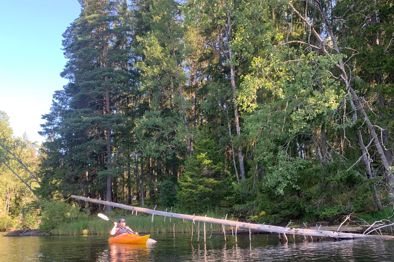 Oslo: Guided Kayak Tour on Lake Langen with Lunch