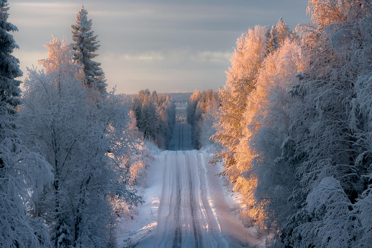 Rovaniemi: Snowmobile Safari & Reindeer Encounter