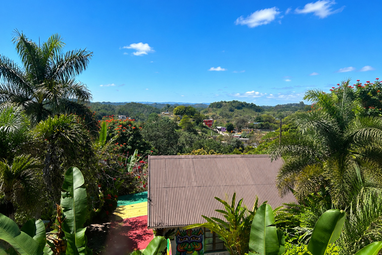 Negril, Lucea & Green Island: Bob Marley Cultural Experience