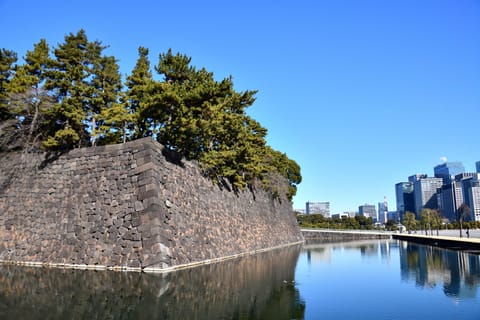 Tokyo Ninja Secrets: Spies Who Guarded the Shogun - Image 2