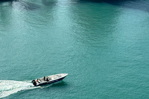 Martinique: Dolphins & Coral Reefs Tour Martinique: Dolphins & Coral Reef Tour.