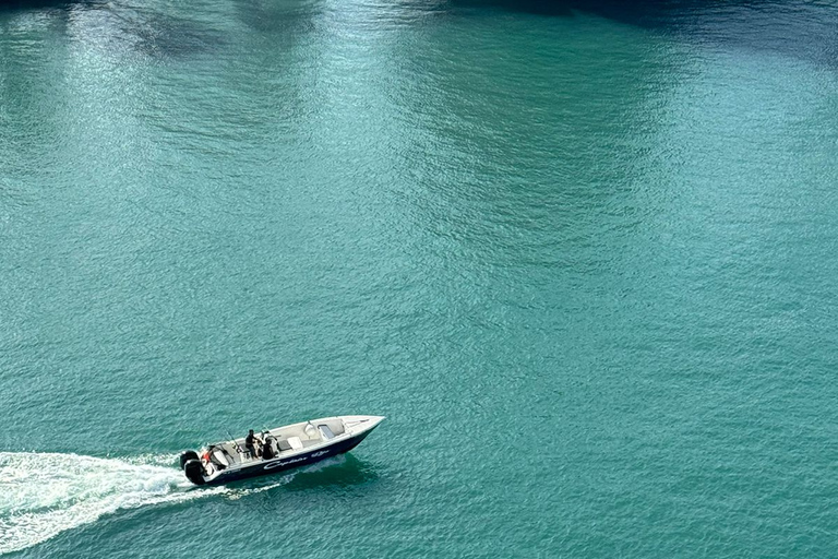 Martinique: Dolphins & Coral Reefs Tour Martinique: Dolphins & Coral Reef Tour.