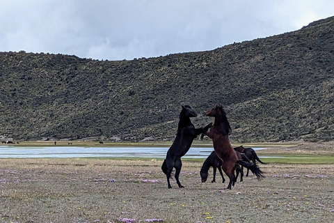 Hidden Corners of Cotopaxi: Slow Travel by 4x4