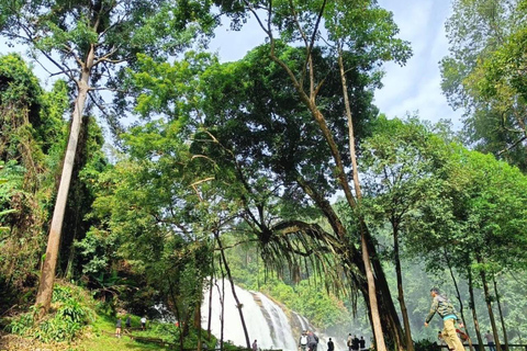 Chiang Mai: Parque Nacional de Doi Inthanon, excursão de um dia às cachoeirasJunte-se a um pequeno grupo com serviço de busca no hotel