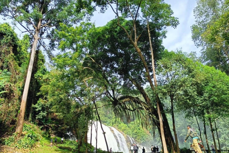 Chiang Mai : Parc national de Doi Inthanon, excursion d'une journée aux chutes d'eauRejoindre un petit groupe