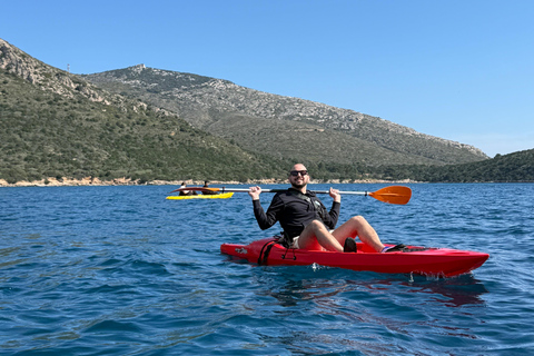 Golfo Aranci: transparent or traditional kayak, dolphins, and aperitif Sunset Tour in a Traditional Kayak with Aperitivo and Dolphins