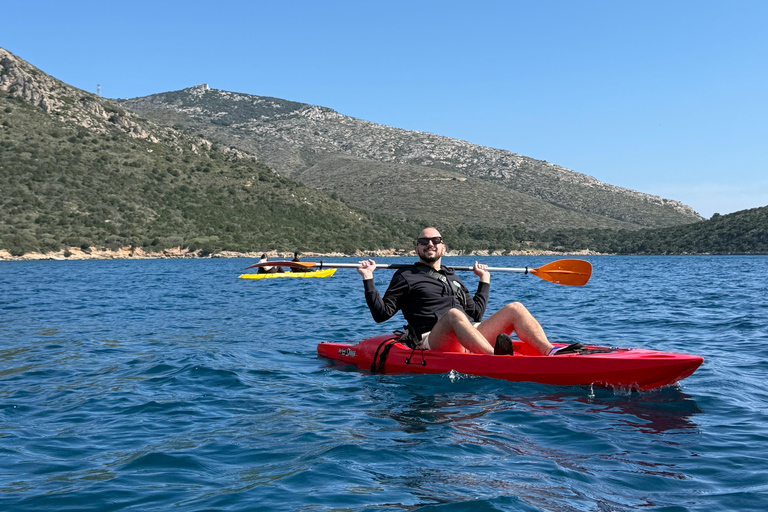 Golfo Aranci: transparent or traditional kayak, dolphins, and aperitif Sunset Tour in a Traditional Kayak with Aperitivo and Dolphins