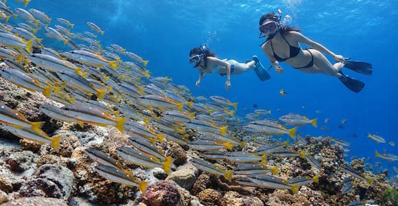 Phuket: 2 Racha Islands, Snorkeling from Yacht, Full-Day