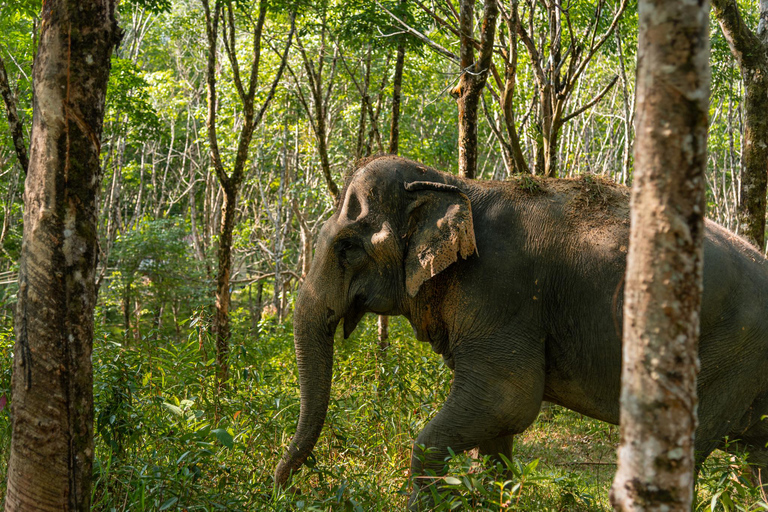 Depuis Phuket : quad, tyrolienne, rafting et faune à Khao LakFrom Phuket: Khao Lak ATV, Zipline, Rafting &amp; Wildlife Tour