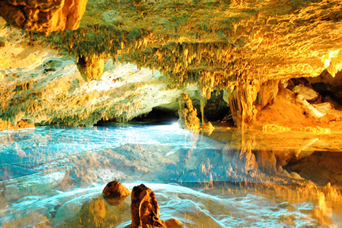 Cancun: Tour della giungla in ATV con bagno nel Cenote e pranzo a buffetSingolo