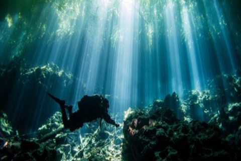 Cenote PRO Just for Experts Cenote Diving