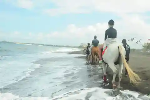 Bali: Sanur Horse Riding for Beginner Experience