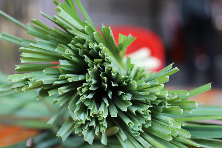 Maak etherische olie met een dorpsherbalist in de buurt van Phnom PenhMaak etherische olie met een kruidendokter in een dorpje bij Phnom Penh