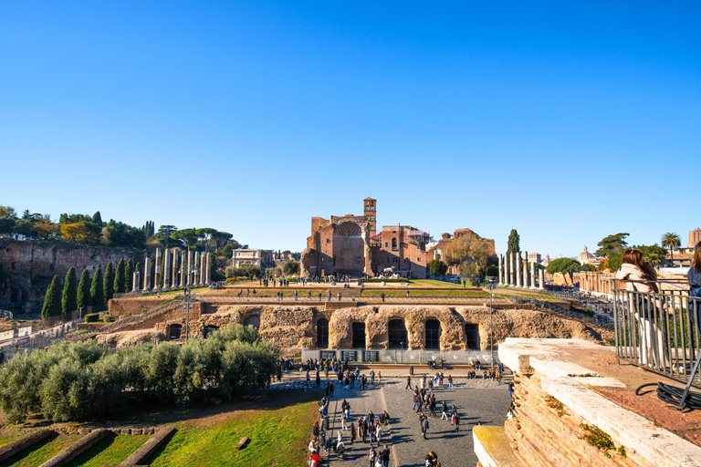 Rome: Colosseum with Arena Floor - Tours & Ticket Options French tour with Arena Floor