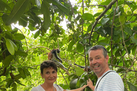 Zanzibar: Spice Farm, Stone Town or Jozani Forest with lunch Spice Farm Experience with lunch – (No Transport)