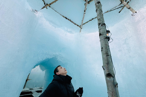 From Sapporo: Lake Shikotsu Ice Festival & Illumination Tour