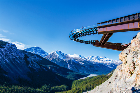 Från Banff: Dagstur till Athabasca-glaciären och Columbia IcefieldFrån Banff: Athabasca Glacier och Columbia Icefield dagsutflykt