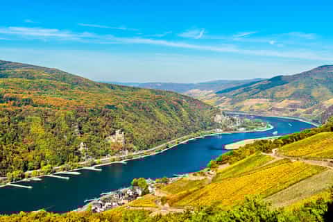 Rhine Valley Castles: 1.5-Hour Boat Tour from Rüdesheim