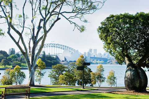 Sydney: Caminhada pela cidade com almoço no Opera Bar