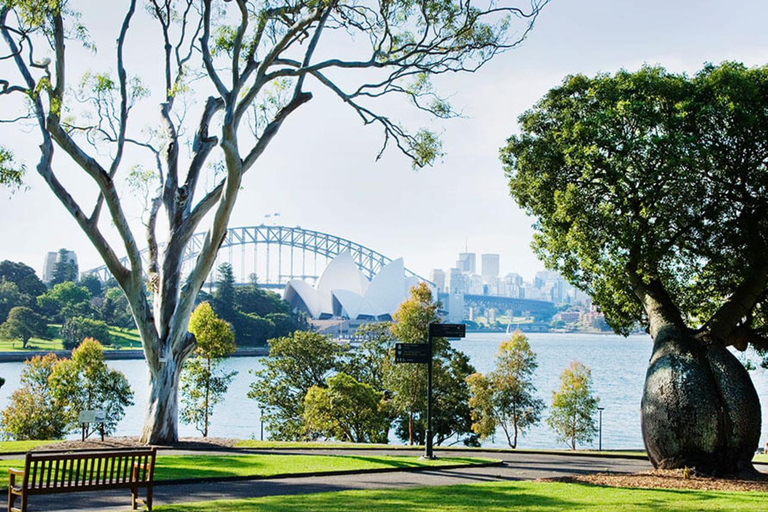 Sydney: Caminhada pela cidade com almoço no Opera Bar