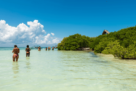 Ab Riviera Maya: Holbox Ganztagestour mit Mittagessen